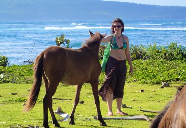 Walking amongst horses along the beach is a simple but beautiful experience.